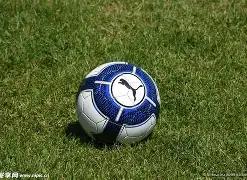 李湘关联企,业工商信息,更新,超凡国际电子,超凡国际电子模拟器官方网站,超凡国际电子a超凡国际,超凡国际电子模拟器登录入口,超凡国际电子模拟器注册