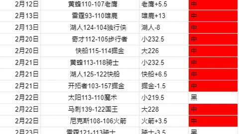“欧冠最年轻进球者纪录！马竞19岁新星费利克斯创辉煌”